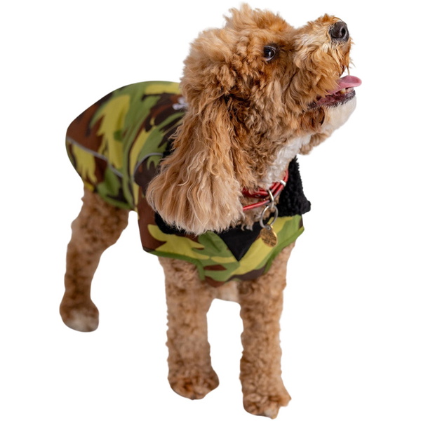 2026 Dryrobe Dog Coat V3DRDC - Green Camo / Black